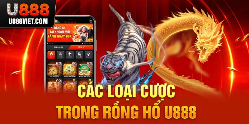 Các loại cược trong Rồng Hổ U888