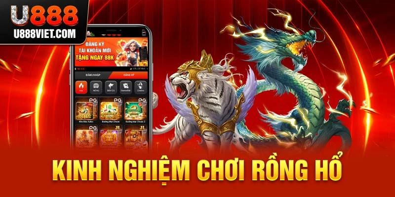 Kinh nghiệm chơi Rồng Hổ